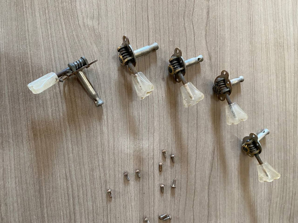 Vintage Hofner Tulip Tuners (Set of 5) — Pearl Buttons, Chrome Back Covers & Screws Included