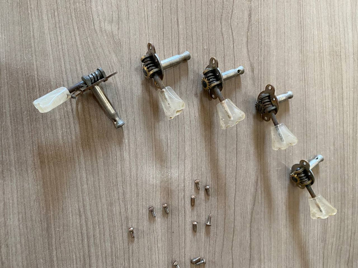 Vintage Hofner Tulip Tuners (Set of 5) — Pearl Buttons, Chrome Back Covers & Screws Included