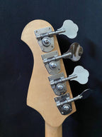 Roytek custom handmade series Precision Bass