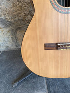 Yamaha Classical Guitar C40M