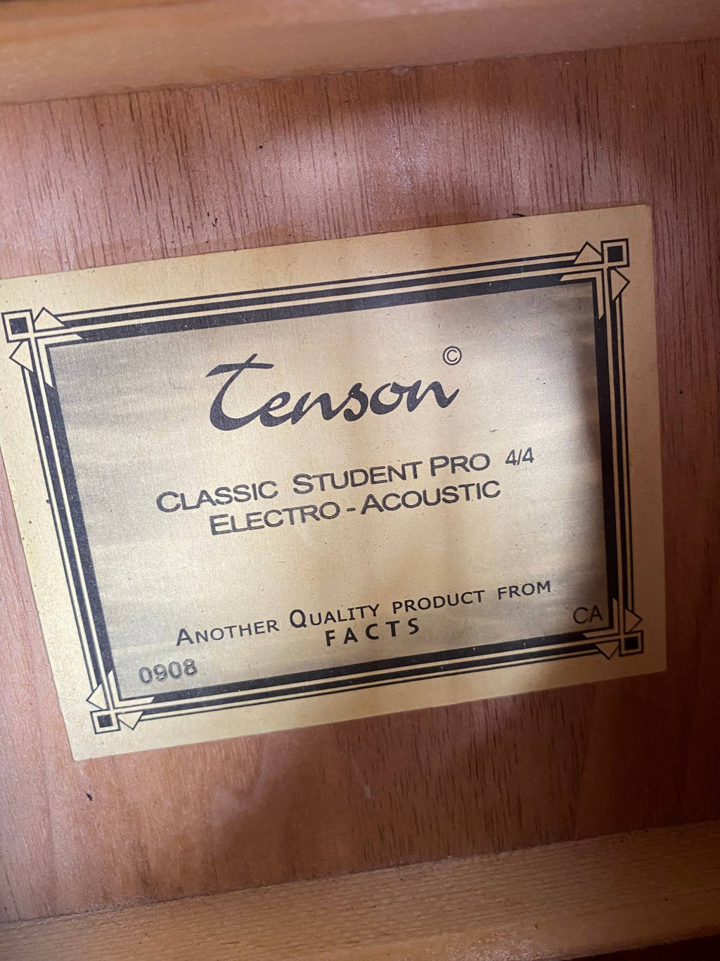 Tenson Classic Student Pro 4/4 with EQ Concert