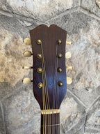 Antique Italian Neapolitan Bowl-Back Mandolin - Ozelli - Late 19th / Early 20th Century with case