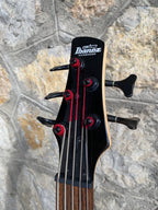 Ibanez Soundgear GSR205B Active 5-String Bass (Indonesia) — Custom Natural Wood Top Finish, 9V Battery EQ + Video Demo
