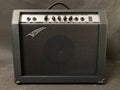 New Bass Amplifier BG-45 Vision 40 Watt