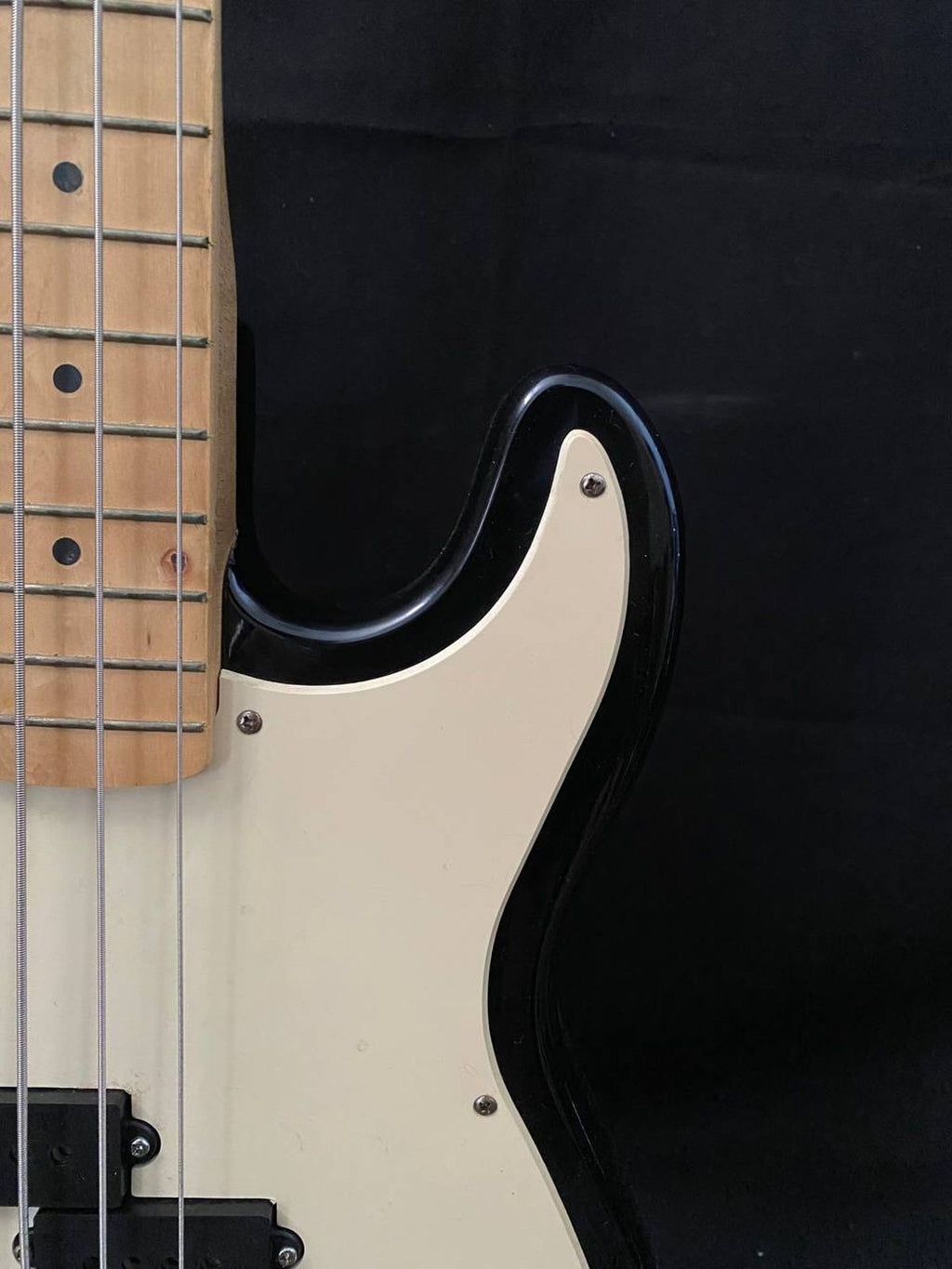 Roytek custom handmade series Precision Bass