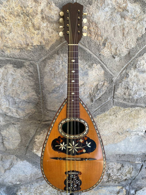 Antique Italian Neapolitan Bowl-Back Mandolin - Ozelli - Late 19th / Early 20th Century with case