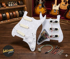 EMG DG20 David Gilmour