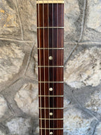 Gibson Les Paul Special Ebony (2001) – DiMarzio DP100 & DP103 Pickups, Good Condition + Video Demo