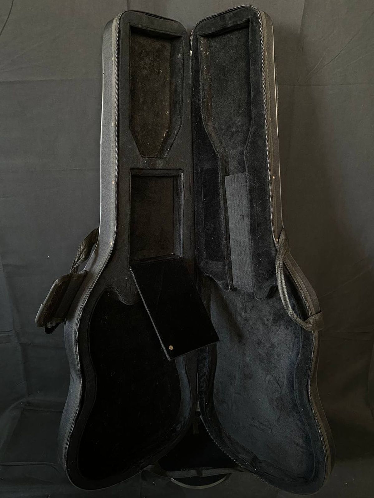 Music Leader Electric guitar foam Hard case