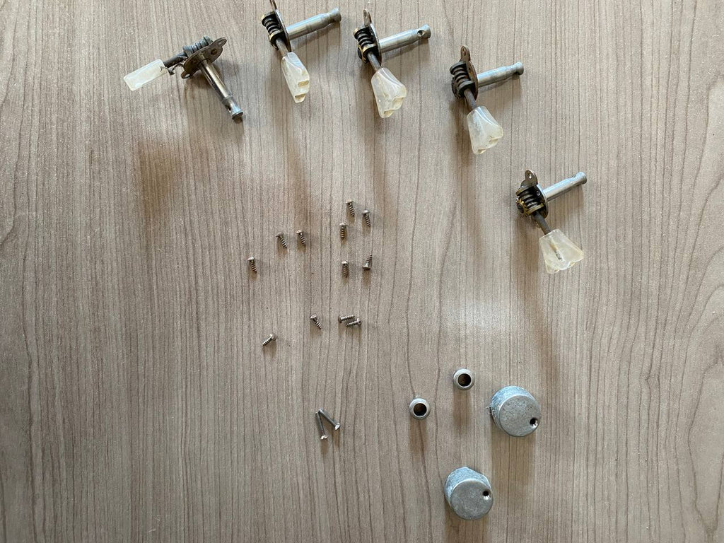 Vintage Hofner Tulip Tuners (Set of 5) — Pearl Buttons, Chrome Back Covers & Screws Included