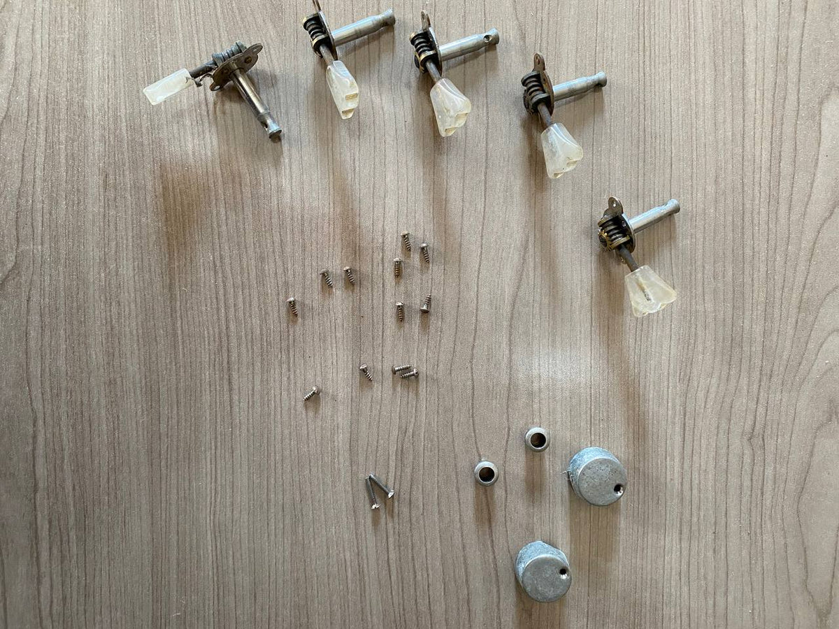 Vintage Hofner Tulip Tuners (Set of 5) — Pearl Buttons, Chrome Back Covers & Screws Included