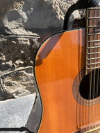 Vintage Eko Rio Bravo 12-String Acoustic Guitar - Made in Italy - Set-in Neck