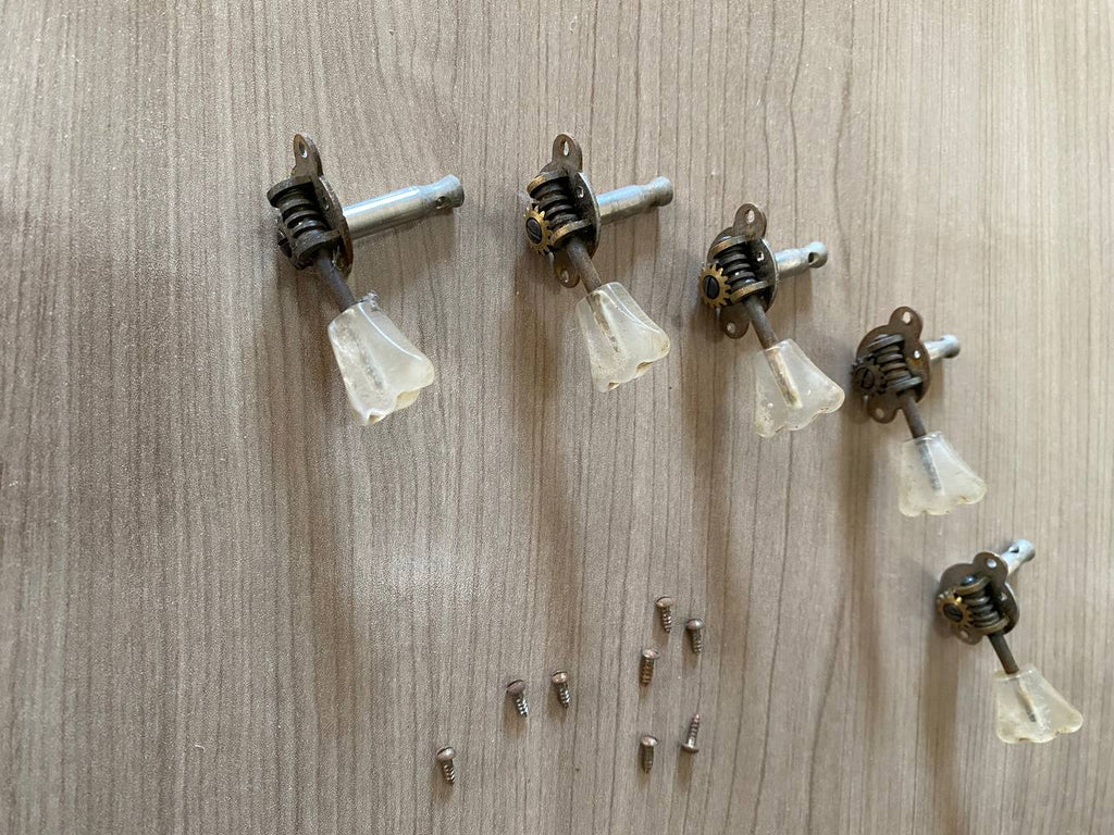 Vintage Hofner Tulip Tuners (Set of 5) — Pearl Buttons, Chrome Back Covers & Screws Included