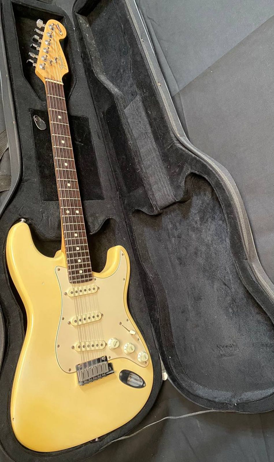Music Leader Electric guitar foam Hard case