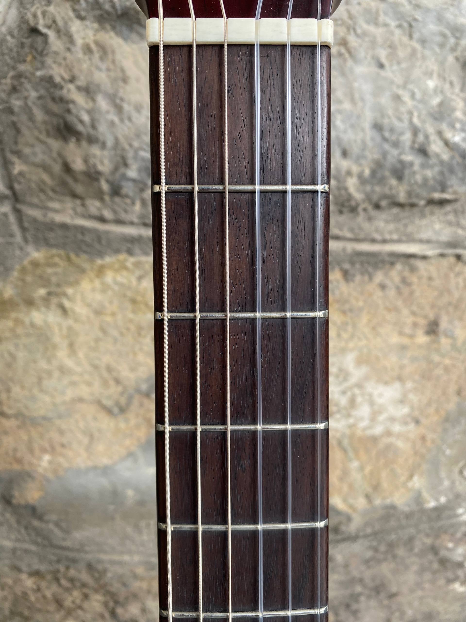 Sire Larry Carlton G5 Classical Guitar – Brand New