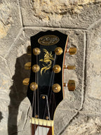 Stagg Les Paul Electric Guitar — Orange Burst, Flame Top, Gold Hardware, Phoenix Headstock Inlay, Set-Neck + Video Demo