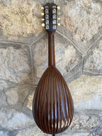 Antique Italian Neapolitan Bowl-Back Mandolin - Ozelli - Late 19th / Early 20th Century with case