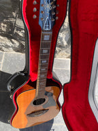 Vintage Hard Shell Acoustic Guitar Case - Red Velvet Interior