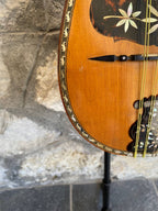 Antique Italian Neapolitan Bowl-Back Mandolin - Ozelli - Late 19th / Early 20th Century with case