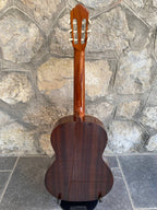 Alhambra 1C Classical Guitar — Made in Spain