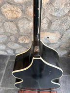 Ultra-Rare 1960 Wandré Naika Double Bass – Made in Italy – Black w/ Carved Lion Head Scroll & Aluminum Hardware with Hard Case