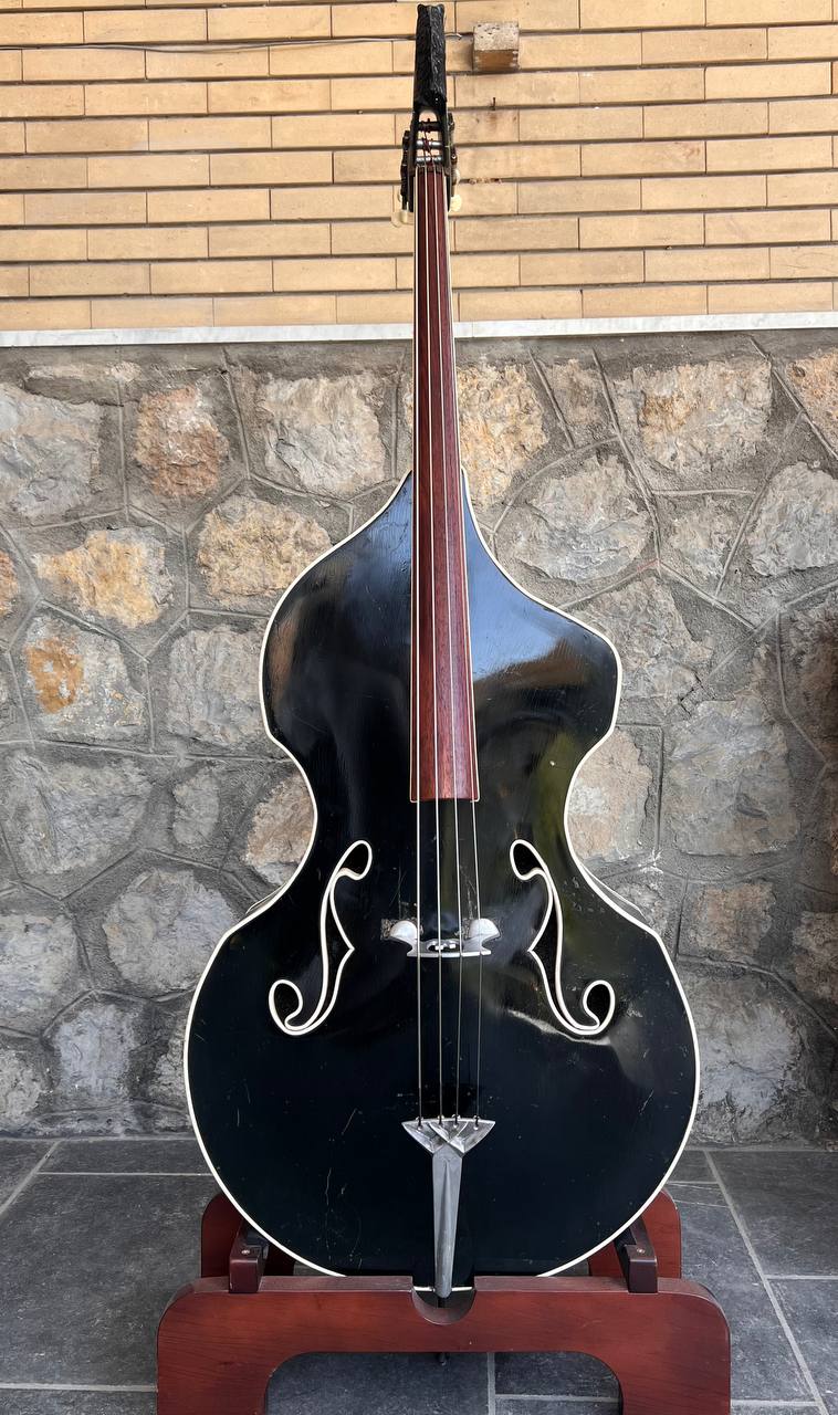 Ultra-Rare 1960 Wandré Naika Double Bass – Made in Italy – Black w/ Carved Lion Head Scroll & Aluminum Hardware with Hard Case