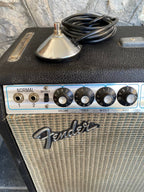 Fender Twin Reverb 100-Watt 2x12" Guitar Combo Amp 1973 - Silverface w/ Original Oxford Special Design Speakers